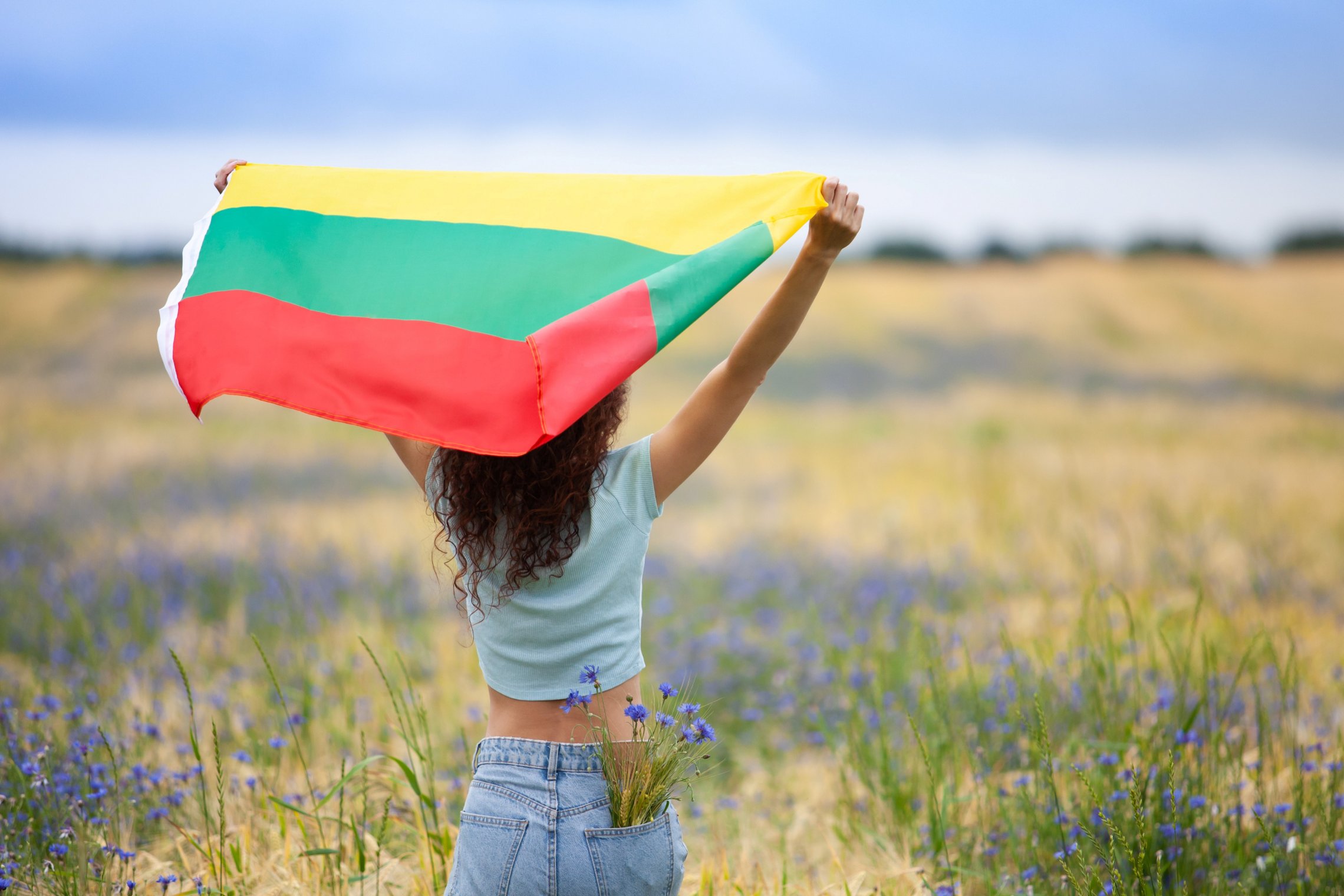 Iliustracija